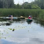 板行记(24):Cootes Paradise,难得的桨板运动天堂