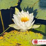 板行记(26):同样的水面,不一样的风景