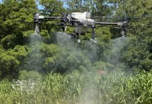 去Andrews Farm感受高科技