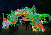 Glow in the Wild:多伦多动物园的夜光森林